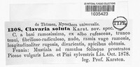Image of Ramaria soluta